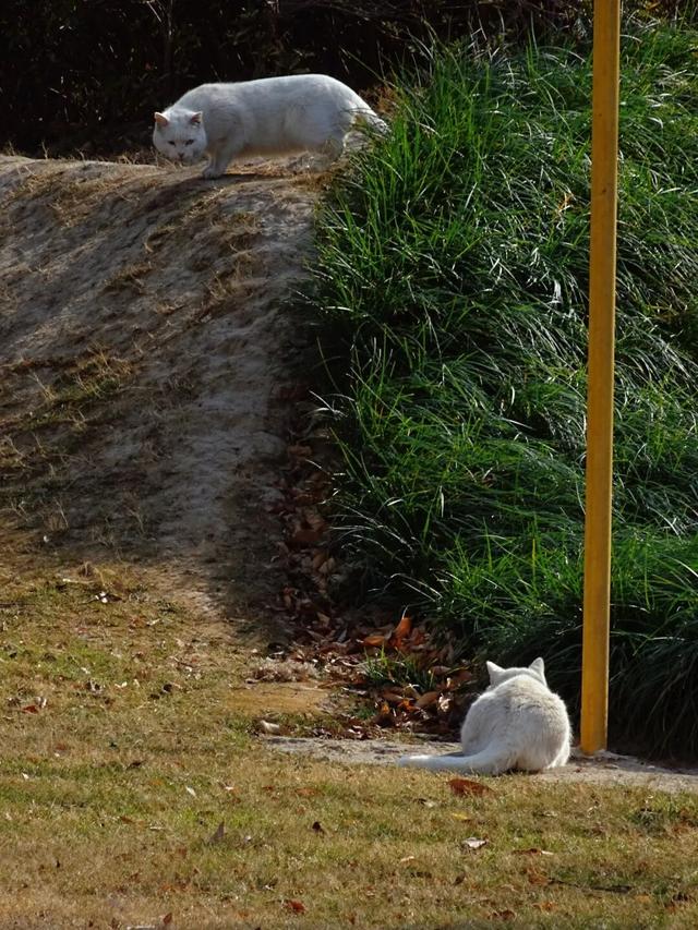 别宅啦！闵行的冬日浪漫，从艺术馆到公园都给你安排好了→