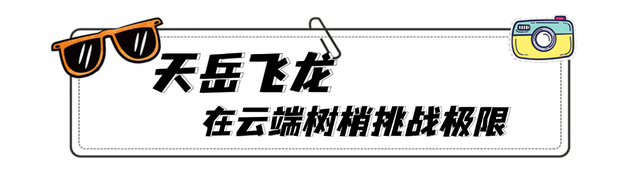 门票免费＆索道半价！炎炎夏日，天岳幕阜山送清凉