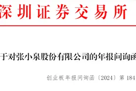 净利润连续两年大幅下滑！张小泉收深交所年报问询函图片
