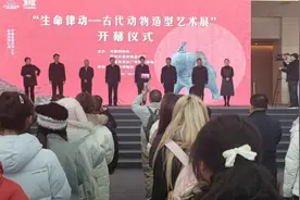 文物说文化！一场超有料的古代“动物奇遇记”图片