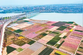 超10万亿元对地方转移支付这样分配图片