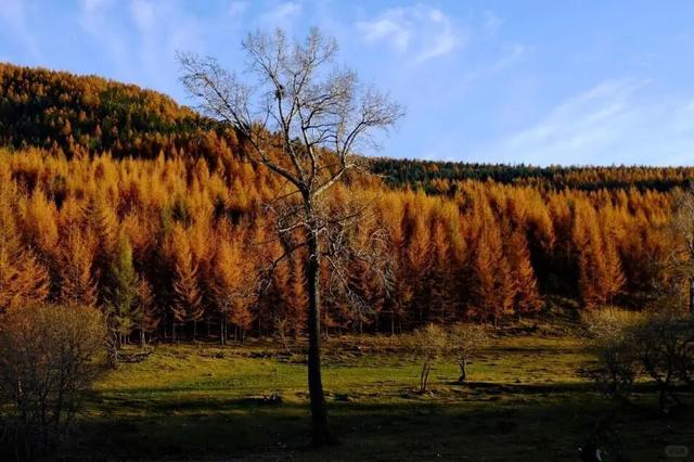 来山西打卡秋冬限定色