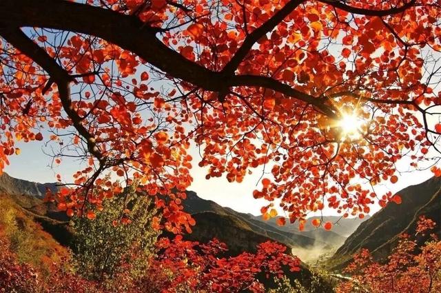 周末天气晴好，徒步去→