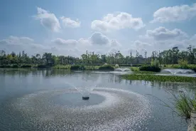 高质量发展调研行丨云南昆明：“绿色之肾”守护高原明珠图片