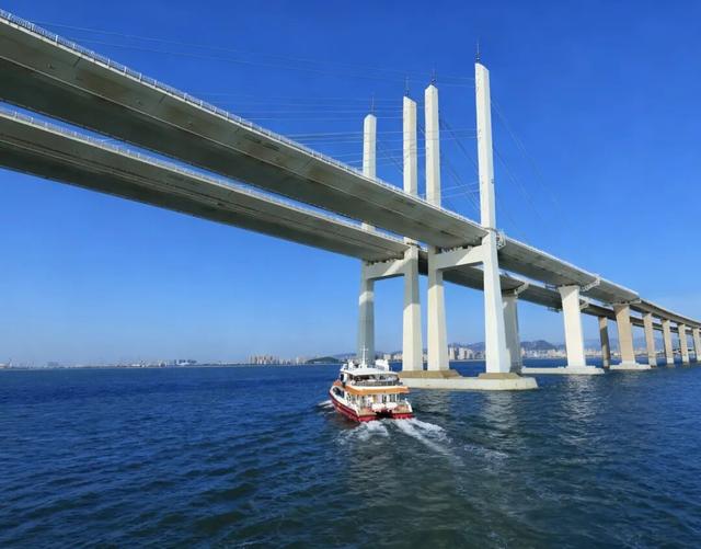 开航即火爆！“海上穿越大桥”航线攻略来啦，速速码住！