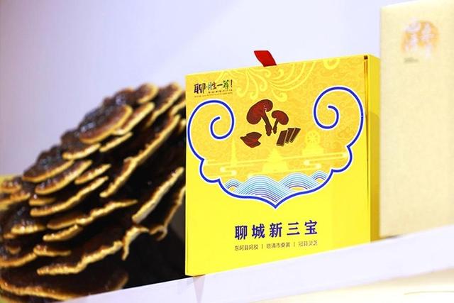 北京朋友们 聊城等你来—写在聊城文商农旅北京宣推活动举办之际