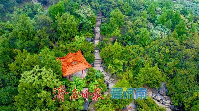 一年四季 泉在济南丨秋雨浸润诗意浓 云雾缭绕匡山奇
