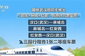 实用、便利、灵活 高铁售票新变化带给旅客“多样化”体验图片