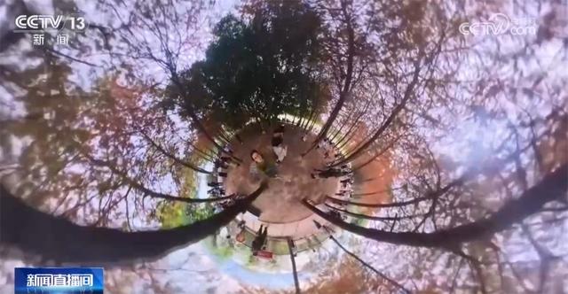 多场景联动打造“赏秋游”沉浸式新体验 “秋日经济”带火文旅消费新实践