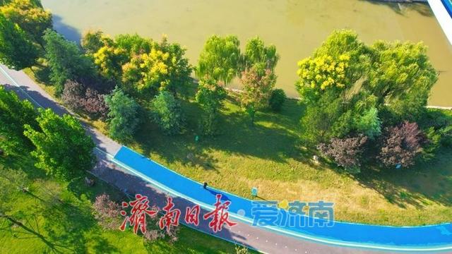 济南彩虹湖公园邂逅一场初秋清晨的诗意与清凉