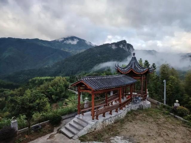 跟着民宿游遂川！赴一场百万候鸟的空中盛宴