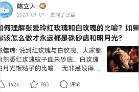 红玫瑰与白玫瑰：完美人设与扭曲的掌控欲图片
