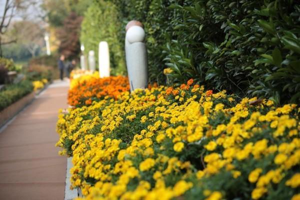 合肥大蜀山文化陵园举行2025年秋季生态礼葬