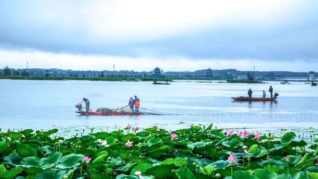 府东街丨在菏泽，书写大地情书