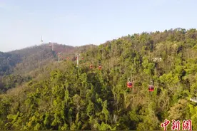 “敞篷”变“轿厢” 长沙岳麓山新索道试运行图片