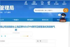 上海正野远景通风设备有限公司召回部分上海正野GEUZYN牌天花板管道式高级换气扇图片