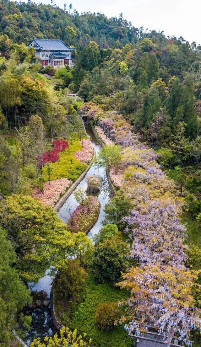 别辜负春天！4月宁德1景区进入颜值巅峰！快来赏花~