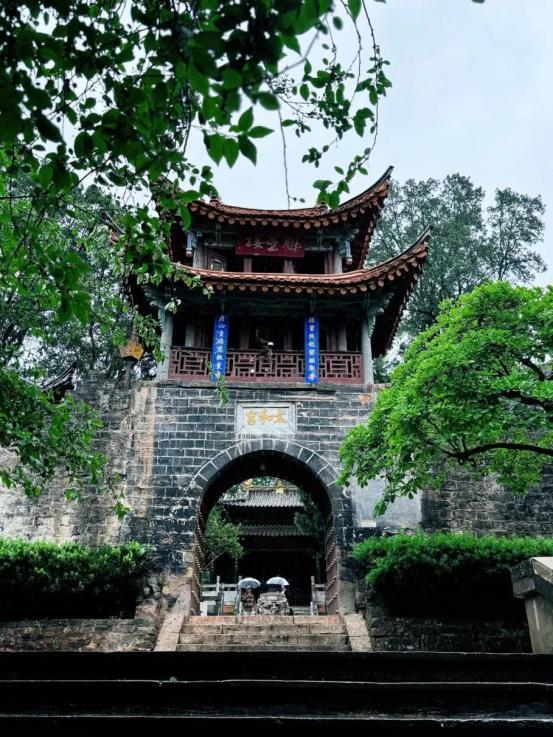 速冲！“森呼吸巴士”解锁大世博生态旅游N种快乐