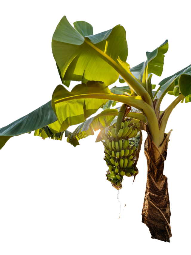 【冬季暖阳 凉山不凉】会东金江渔村 阳光康养与垂钓逸趣之旅邀您启程