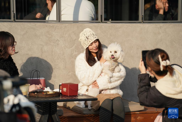 西安：老城“新社区”激发文化消费活力