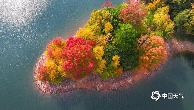 秋到南方 赴一场秋叶的绚烂之约