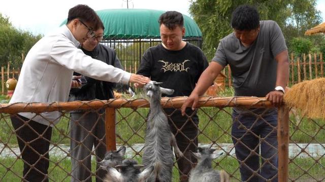 同江：“江”萌宠进行到底