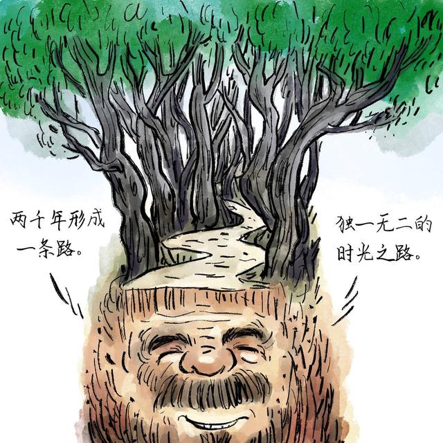 四川安逸入画｜翠云廊