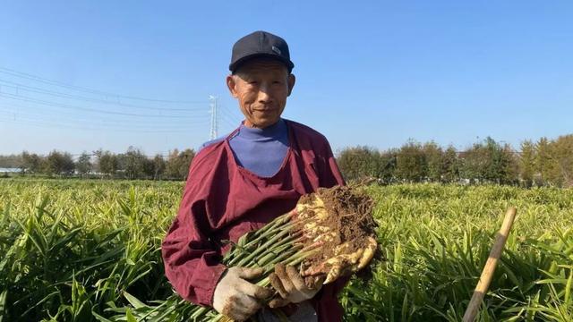赶大集不用东奔西走~郯城大剧院市集今天下午等你