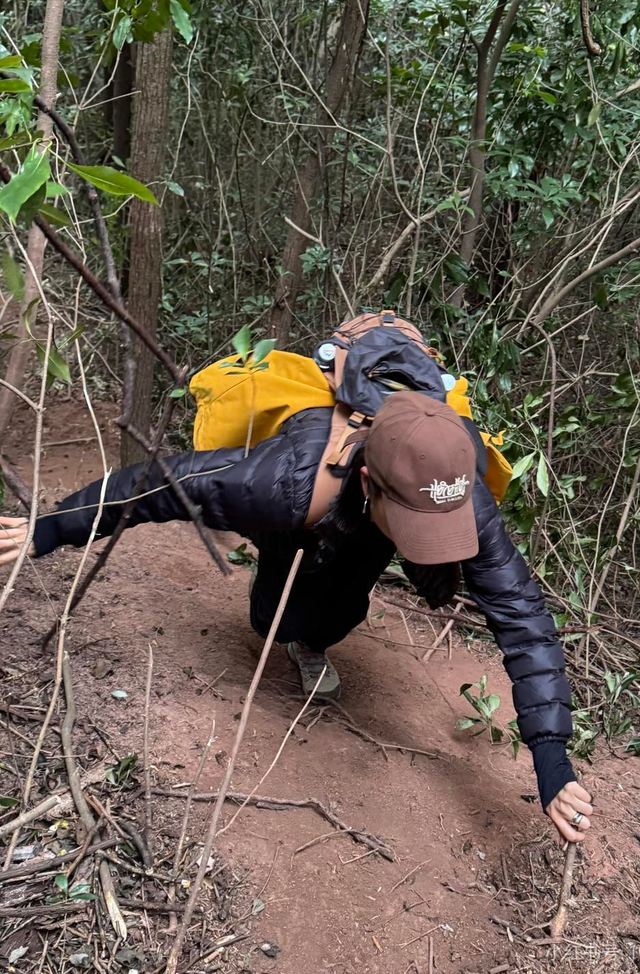 火了！全国徒步圈开启“画马”模式，成都龙泉山单日上百人组队“画马”