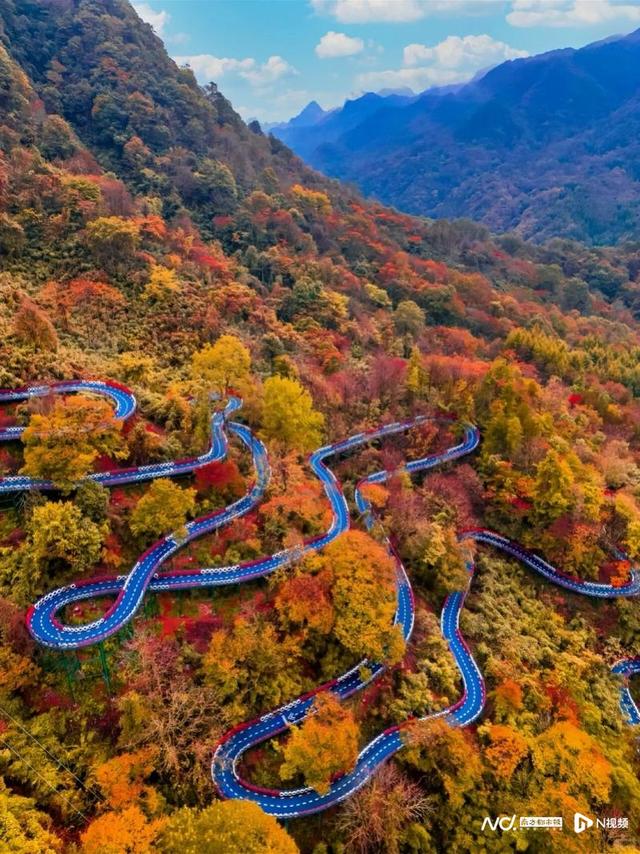 “亚洲最长红地毯”光雾山红了！广州文旅业界“赏秋”上新