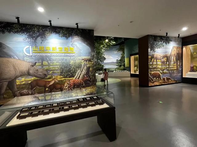 潍坊新春“打卡热地”！博物馆里都“长”满了人