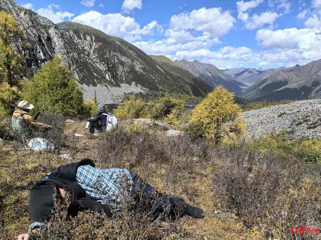 川西登山徒步乱象调查：山高路险！有团队未带食物，报警多是迷路