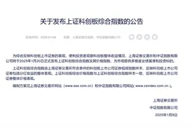 上新！上交所公告图片