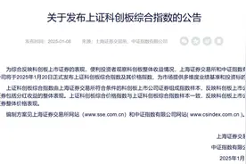 上新！上交所公告图片