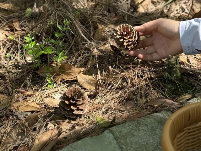 3天2晚「群山之心探秘」，超值亲子游体验共创回忆