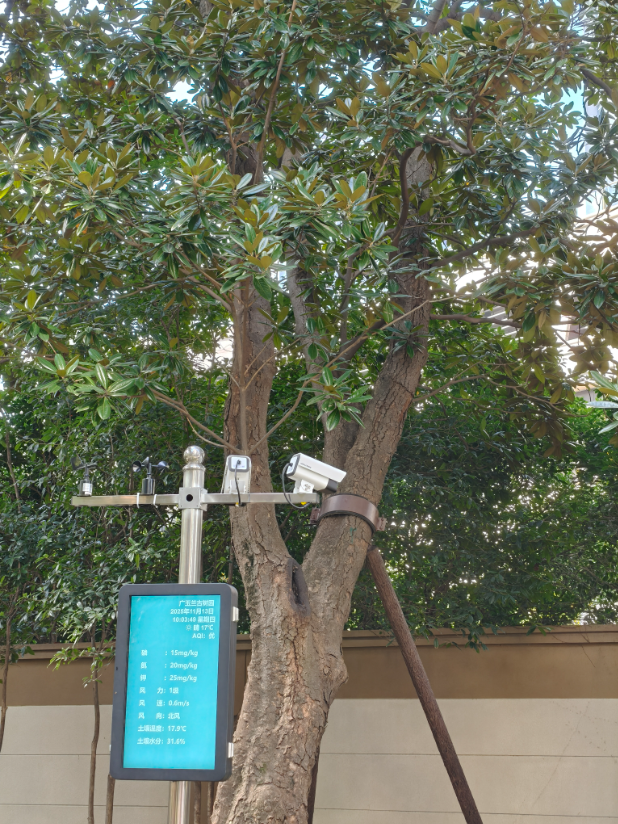 全市首个！静安这个商圈旁，竟藏着居民区里的“专业古树园”