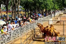 湖北武汉：国庆假期动物园里游客爆棚图片