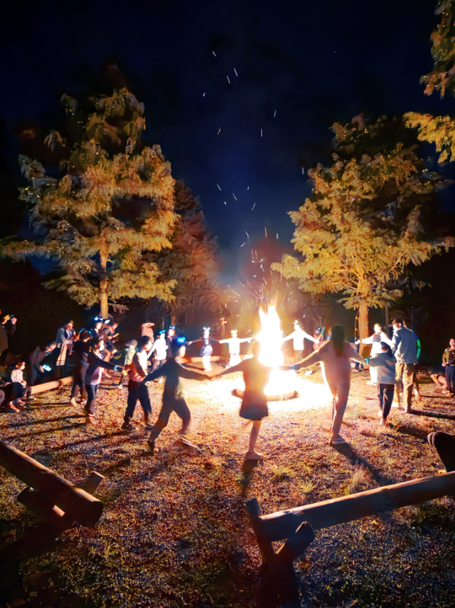 元旦解锁崇明，超多活动等你来