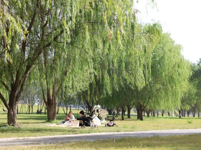 遇见丨开福·逛三园：我在「鸭嘴公园」好快乐鸭！