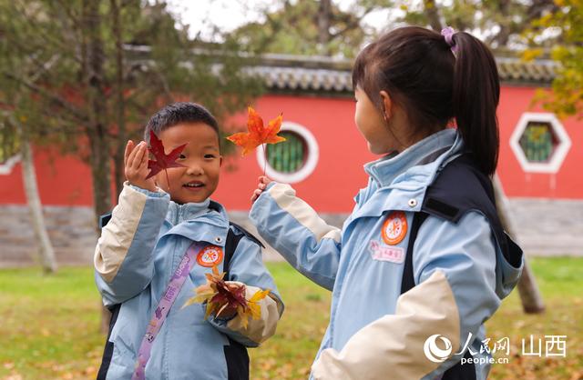 山西太原：秋染晋祠 百年银杏披“金甲”