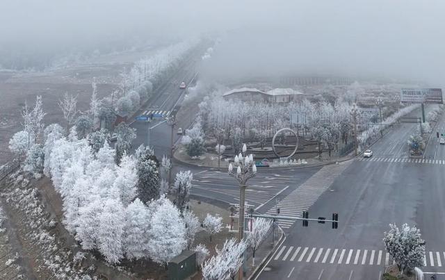 冬日限定！贵州的雾凇秘境藏不住了