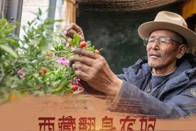 海报｜苦难和新生——西藏翻身农奴影像档案图片
