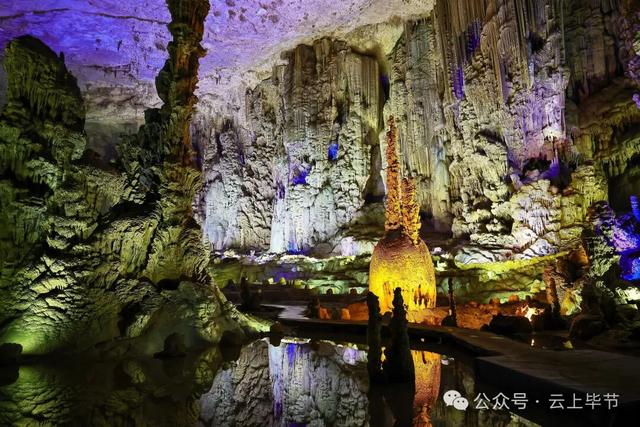 骄傲！咱毕节又上央视了