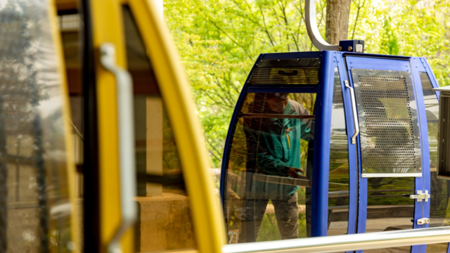 滴！重阳暖心免票福利→这张秋日『头等舱』车票请签收！