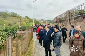 梅州柚冬季管理现场观摩培训暨栽培技术交流会召开图片