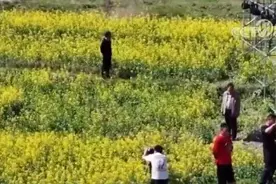 多领域“热腾腾”数据印证中国经济将继续回升向好、长期向好图片