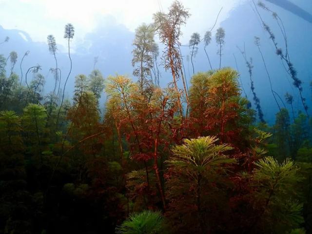 成立70周年！今天，用50图带你走进魅力瑶山