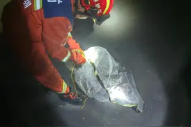 坪山国际影视城现大蟒蛇，消防员化身捕蛇能手图片