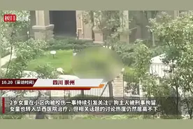 被咬女童家属申请将狗安乐死？代理律师称尚未正式提交申请，警方：涉事黑狗还活着图片