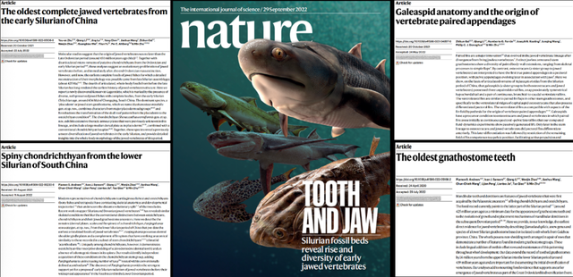 这个小盒子里的化石材料，产生了非常多举世瞩目的成果，有十几篇顶刊文章｜卢静 一席少年第36位讲者